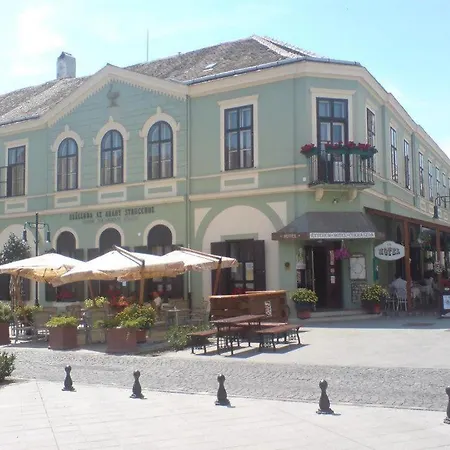 Arany Strucc Hotel *